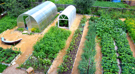 Garden beds during the flowering and ripening of vegetables and fruits. The view from the top. Two greenhouses in the garden. Home gardening.