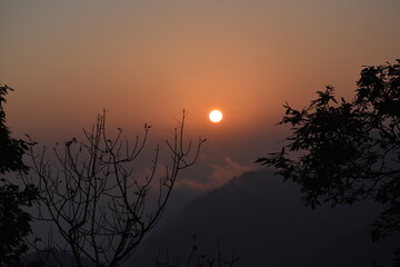 Beautiful tree and sunset in nainital Uttarakhand