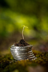 Green Sprout on top of stack of euro coins on moss