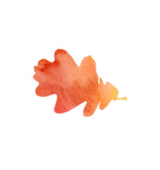 Watercolor hand drawn illustration of autumn oak leaf. Isolated objects on white background. For creating various autumn fall designs