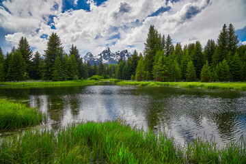 Fototapeta na wymiar Beaver pond with the Grand Teton Mountains in the background.