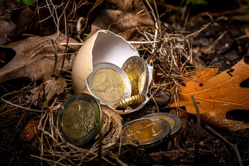 euro coins inside and outside of a hatched egg shell