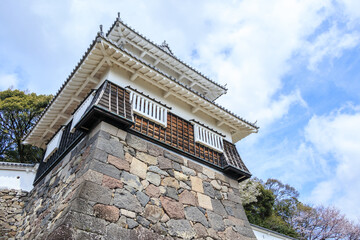 Cherry blossom season on spring at Omura Park in Omura, Nagasaki, Japan