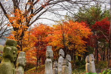 Majestic colorful tree,red and orange autumn leaves.
