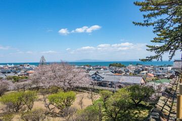 Shimabara castle  in Shimabara city, Nagasaki prefecture,Japan.
