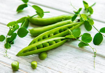 Pods of green peas