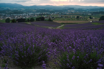 Sunset view at Hinode Park in Kamifurano Hokkaido, Japan