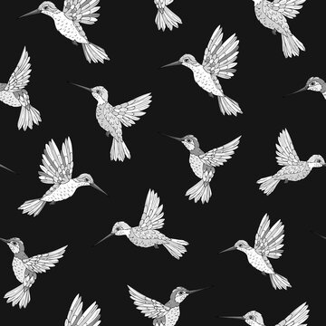 Vector seamless pattern with hummingbird. Decoration print for wrapping, wallpaper, fabric. Seamless vector texture. © Anna Sobol