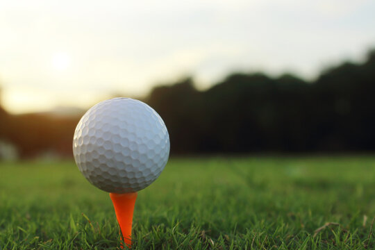 golf ball on tee in a beautiful golf course with morning sunshine