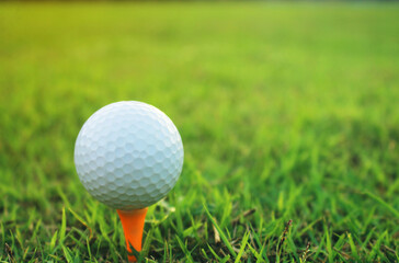 golf ball on tee in a beautiful golf course with morning sunshine