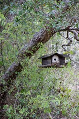 wooden bird house