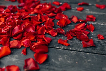 Petals of red roses scattered on a wooden floor.
