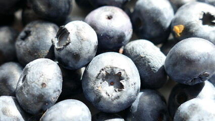 blueberry fresh and tasty, healthy food, still-life with fresh blueberry, close-up berrys