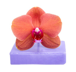 Fototapeta na wymiar Beautiful phalaenopsis or exotic orchid flower on aroma soap isolated on the white