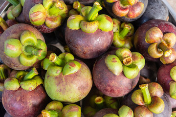 Fresh ripe mangosteen fruits, Queen of fruit in Thailand