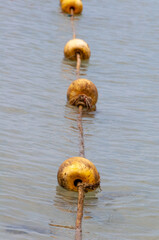 Buoys overgrown with silt in sea water