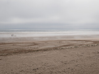 fog in the beach, 2 people with two dogs visible at the distance
