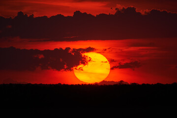 Sun setting, excellent backdrop