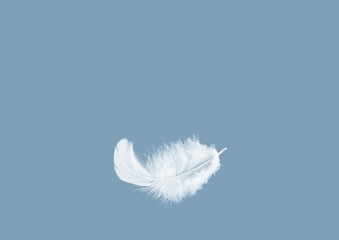 Light fluffy a white feather floating in the air with copy space. Feather abstract freedom concept...