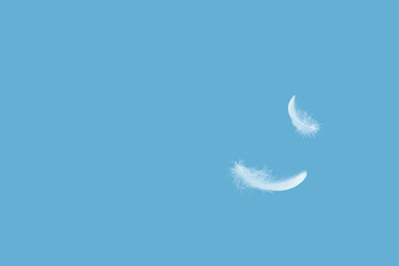 Light fluffy a white feathers floating in the sky. Feather abstract, freedom concept background with copy space.