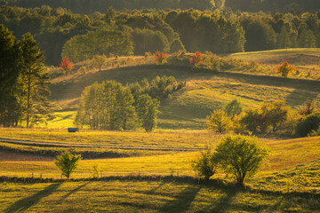 View of the fields, meadows and forests (typical Podlasie landscape) during the setting sun near Wigry, Poland