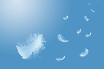 Light fluffy a white feathers floating in the sky. Feather abstract, freedom concept background.