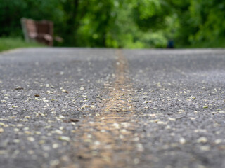 Fuzzy road