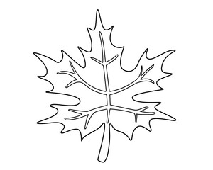 Maple leaf - vector linear illustration for coloring. Maple leaf  - element for coloring book. Outline. editable stroke, editable path