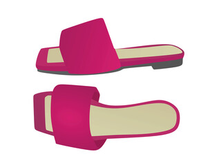 Rose woman sandal. vector illustration