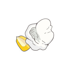 Design of corn grain and popcorn