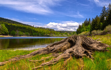 Fototapeta na wymiar Ein See mit klarem Wasser im Wald an der Schwarzenbachtalsperre
