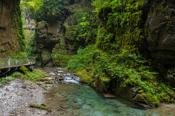 pathway crosses the beautiful gorge of vintgar, slovenia