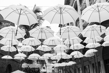 Fototapeta na wymiar umbrellas at waterfront in Port Louis