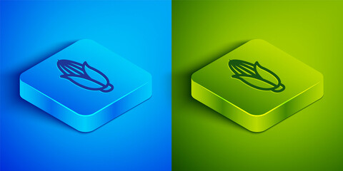 Isometric line Corn icon isolated on blue and green background. Square button. Vector Illustration.