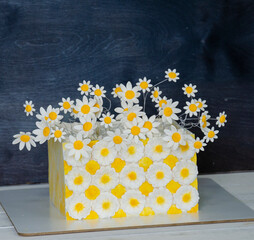 Square fondant cake with daisies