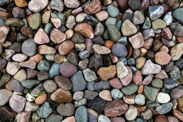 Colorful pebbles spread on the ground in a pattern forming a texture.