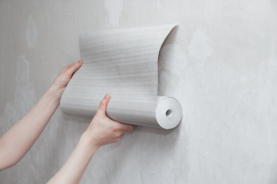 A roll of gray wallpaper in the hands of Caucasian woman. Attaches wallpaper to the wall.