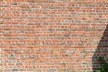 Brick wall texture