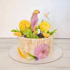 A beautiful fondant cake with parrot and tropical fruit