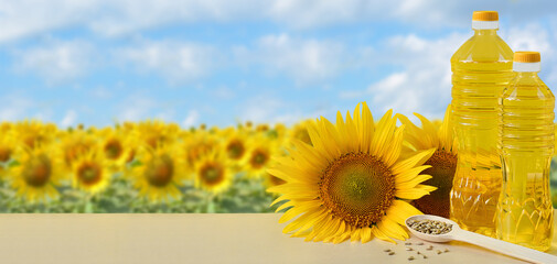Sunflower oil in bottles, seeds and flowers of sunflower close-up with space for text on the...