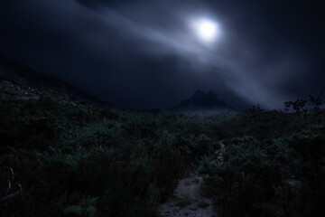 Obraz na płótnie Canvas misty moonlight at Peneda-Geres National Park