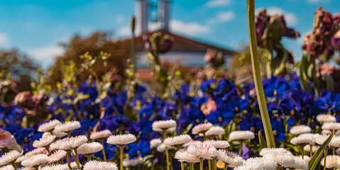 Beautiful flowers at Bad Griesbach Therme, Bavaria, Germany