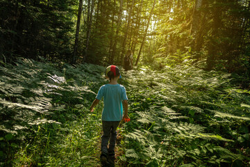 Mother and son, hiking and bird watching in Voyageurs National Park, Minnesota