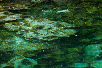 Nature texture. Pure water cenote in the jungle. Closeup view of the emerald color and transparent water natural pond with rocks in the bed. 