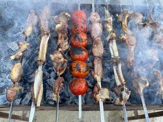 grilled meat on the grill