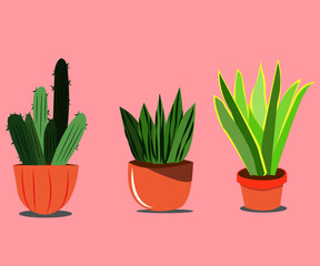vector illustration of a flower pot,cactus in pot
