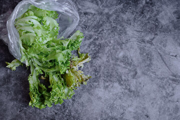 Spoiled  salad is in a plastic bag on a dark background. Concept. Polluting to store vegetables in these packets. Copy space.