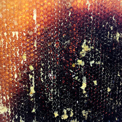 Drop of bee honey drip from hexagonal honeycombs filled with golden nectar.