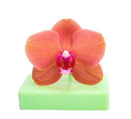 Obraz na płótnie Canvas Beautiful phalaenopsis or exotic orchid flower on aroma soap isolated on the white