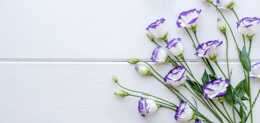 A bouquet of beautiful freshly cut purple eustoma on a one ton background